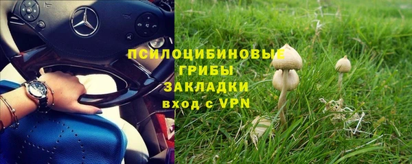 герыч Арсеньев