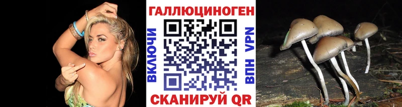 Псилоцибиновые грибы MAGIC MUSHROOMS  купить наркоту  Полярный 